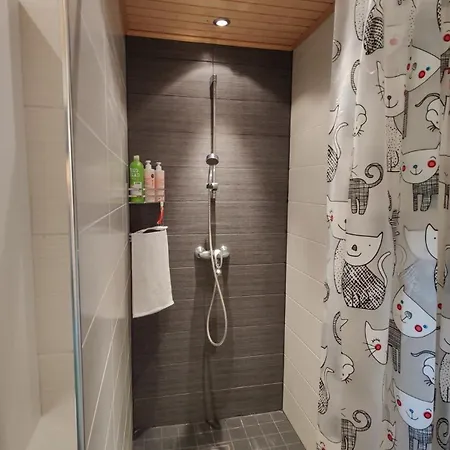 Beautiful House And Sauna On The Lake, 175 M2 * 拉彭兰塔